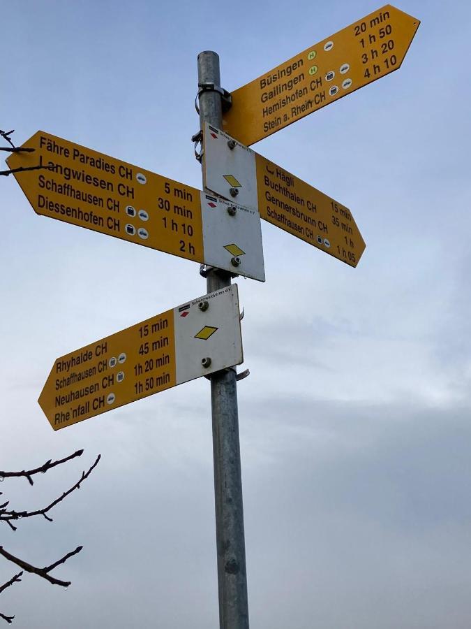 Buesingen Am Hochrhein Radfahren, Wandern, Natur Geniessen Экстерьер фото
