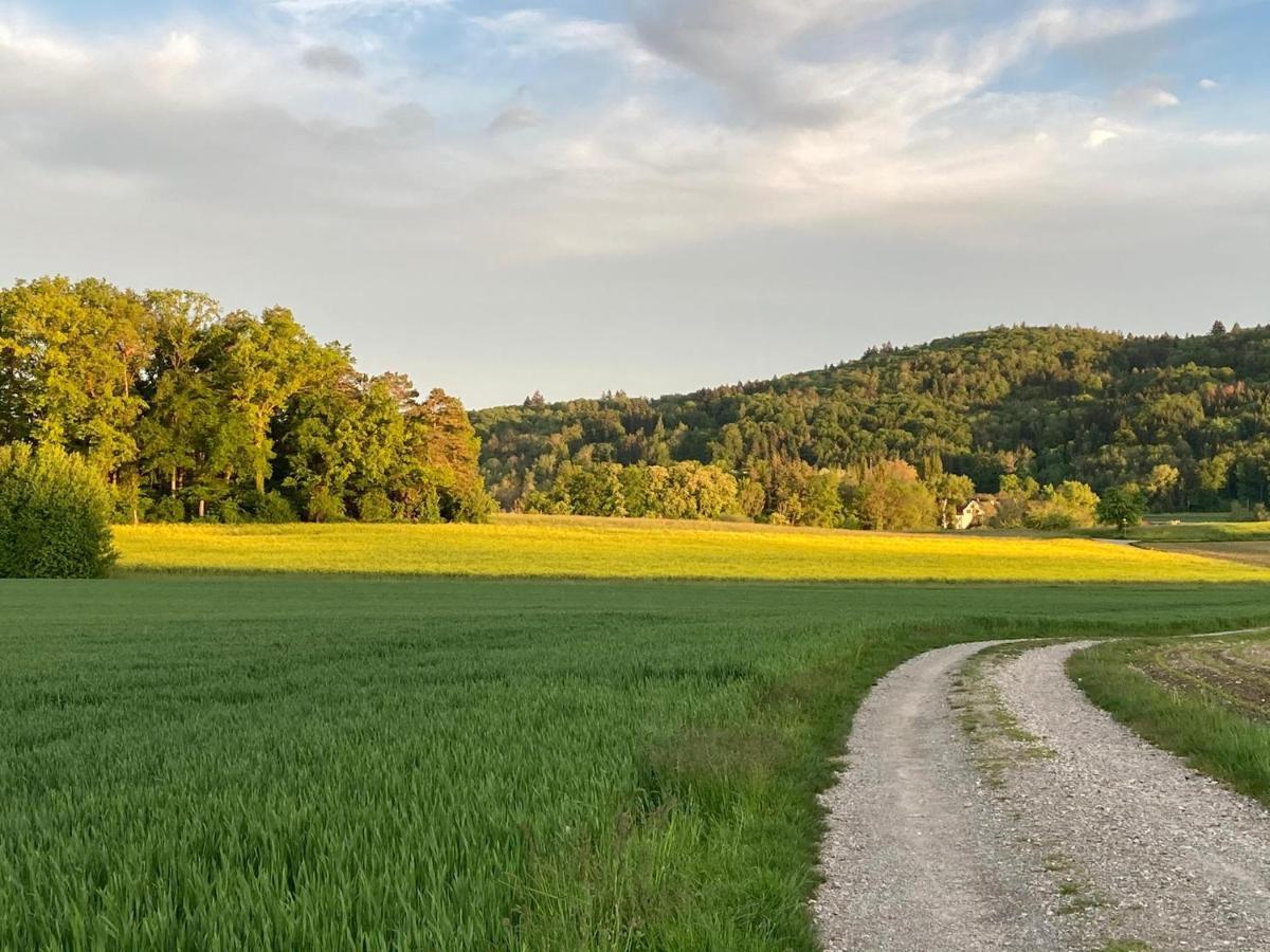 Buesingen Am Hochrhein Radfahren, Wandern, Natur Geniessen Экстерьер фото