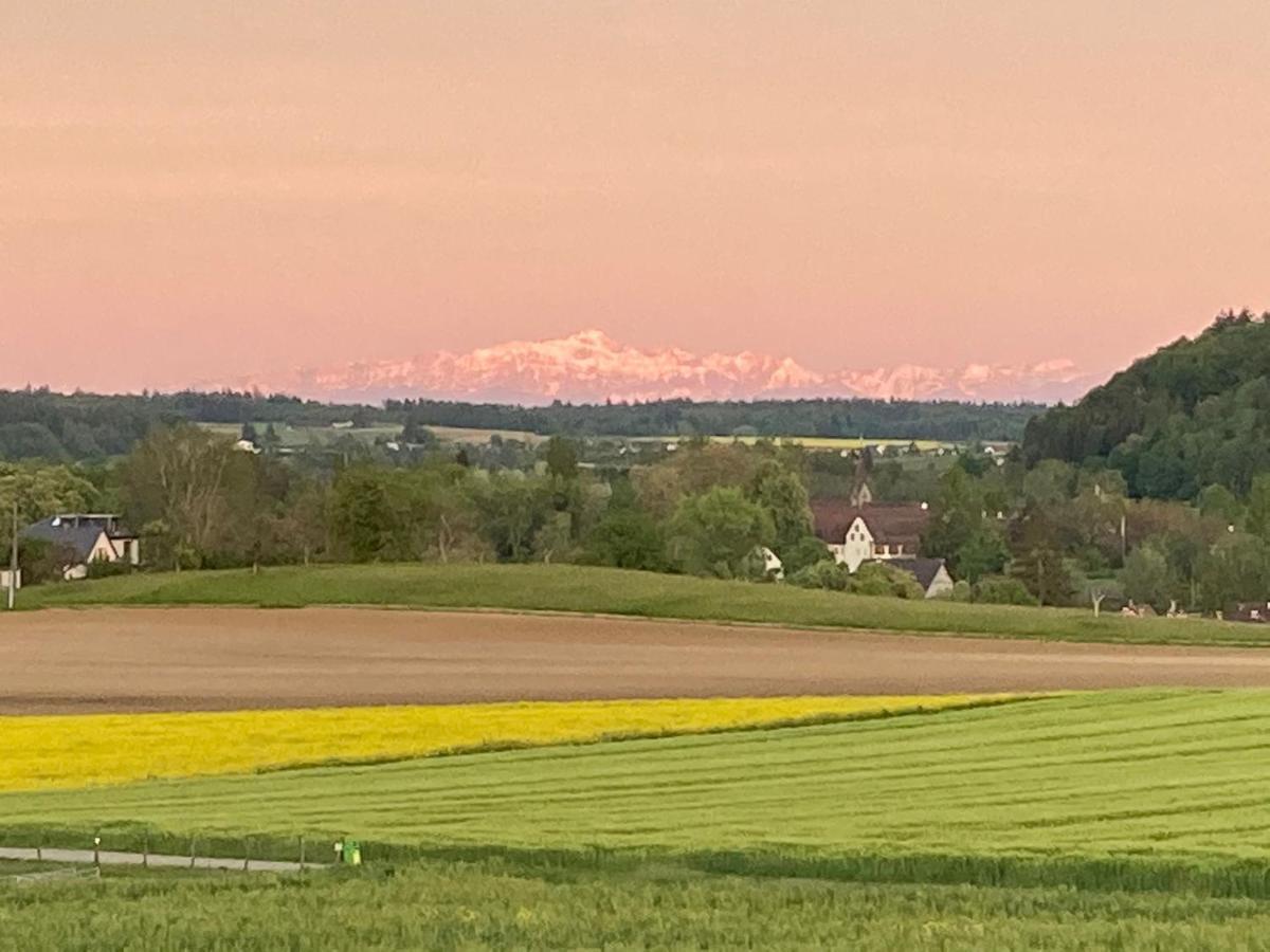 Buesingen Am Hochrhein Radfahren, Wandern, Natur Geniessen Экстерьер фото