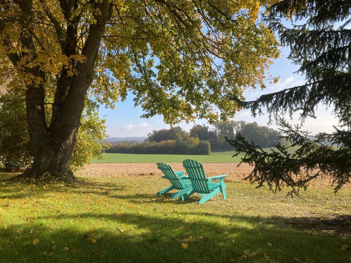 Buesingen Am Hochrhein Radfahren, Wandern, Natur Geniessen Экстерьер фото